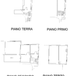 pianta web